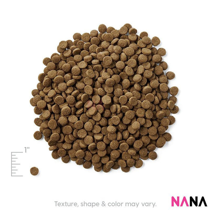 Solid Gold Cat Food Indigo Moon With Alaskan Pollock & Egg (Grain Free) - High Protein 3LB (EXP:10 2026) - NANA MALL