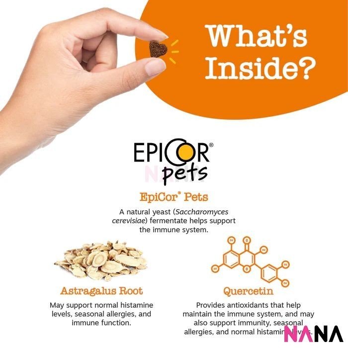 Zesty Paws Allergy & Immune Bite for Cats Bacon Flavor 60 Soft Chews (EXP:01 2027) - NANA MALL