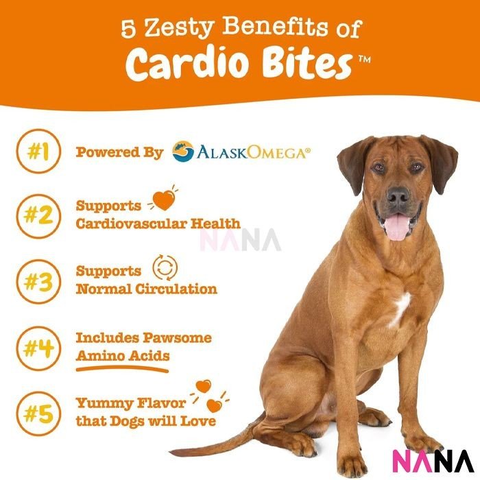 Zesty Paws Cardio Bites - Salmon Flavor 90 Soft Chews (EXP:06 2026) - NANA MALL