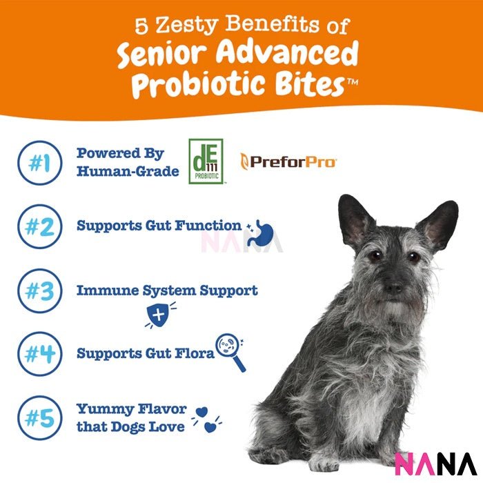 Zesty Paws Senior Advanced Probiotic Bites Chicken Flavor 90 Soft Chews (EXP:08 2026) - NANA MALL