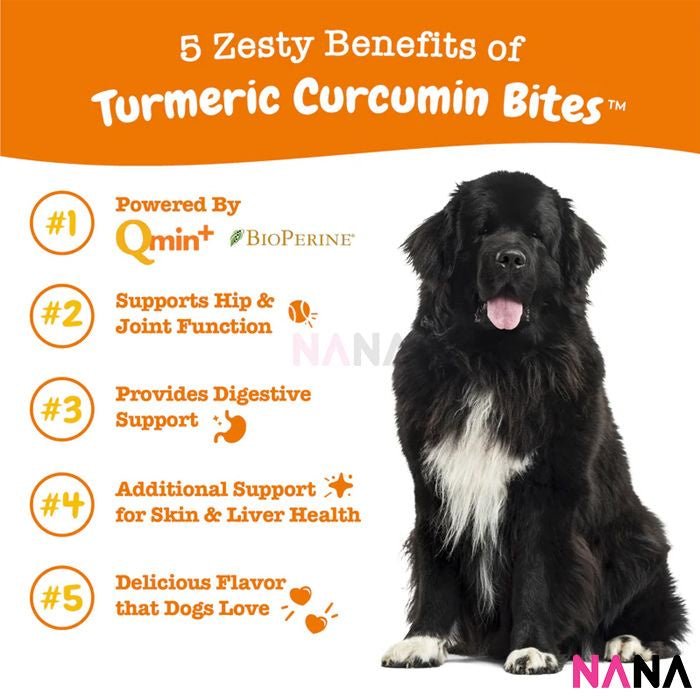 Zesty Paws Turmeric Curcumin Bites - Bacon Flavor 90 Soft Chews (EXP:06 2026) - NANA MALL