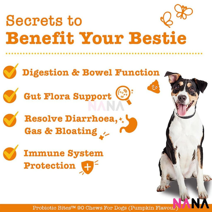 Zesty Paws Probiotic Bites Pumpkin Flavor 90 Soft Chews - NANA MALL